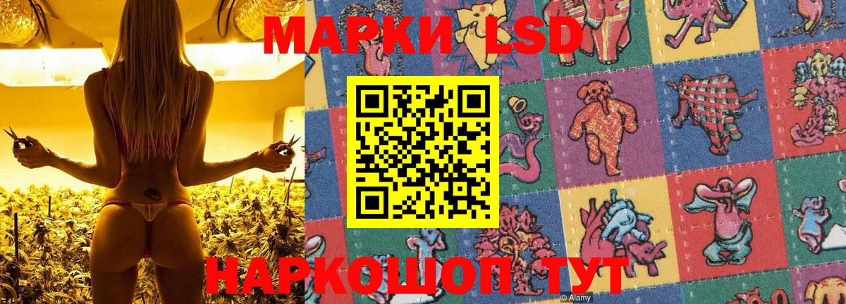 Марки N-bome 1500мкг  Марки NBOMe  Хасавюрт  Вход с VPN 