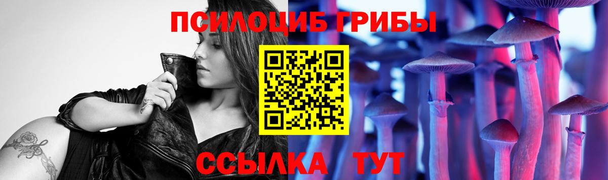 Псилоцибиновые грибы Psilocybine cubensis  Вход с VPN  даркнет сайт  Хасавюрт 